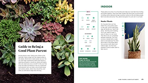 Weekend Refresh: Home Design in 48 Hours or Less: An Interior Design Book