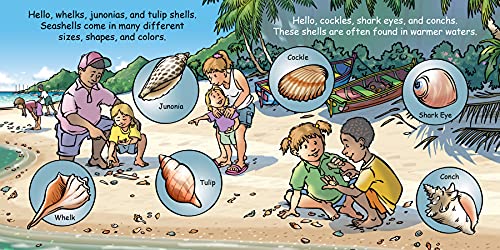 Good Night Seashells (Good Night Our World)