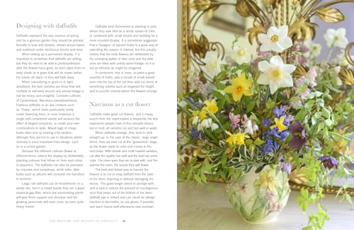 Daffodils: Beautiful Varieties for Home and Garden (Flowers)