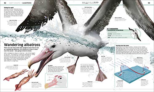 Knowledge Encyclopedia Ocean!: Our Watery World As You've Never Seen It Before (Knowledge Encyclopedias)