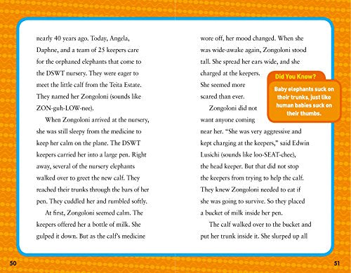 National Geographic Kids Chapters: Hoops to Hippos!: True Stories of a Basketball Star on Safari (NGK Chapters)