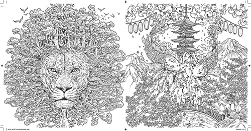 Reflections: A Celebration of Strange Symmetry
