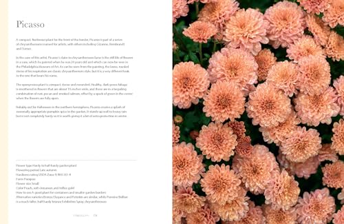 Chrysanthemums: Beautiful Varieties for Home and Garden (Flowers)