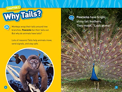 Animal Tails (National Geographic Kids Readers, Level 1/Co-Reader)
