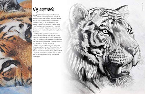 Art of Angela Gaughan, The: Techniques & inspiration for painting wildlife in acrylics