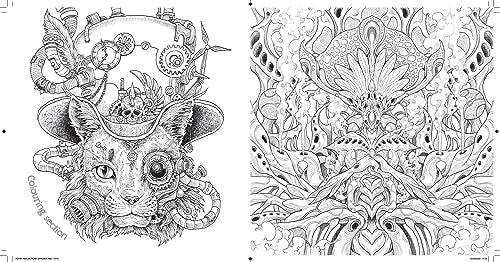 Reflections: A Celebration of Strange Symmetry