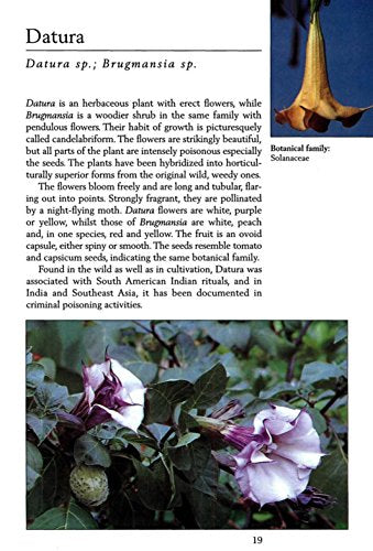 Handy Pocket Guide to Tropical Plants (Handy Pocket Guides)