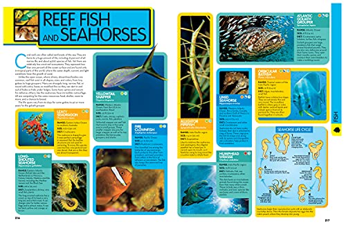 National Geographic Kids Animal Encyclopedia, 2nd Edition: 2,500 Animals with Photos, Maps, and More! (NGK Encyclopedias)