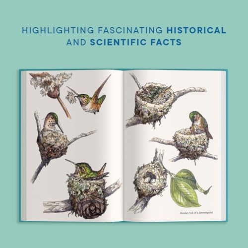 A Little Book of Hummingbirds (Little Book of Natural Wonders)