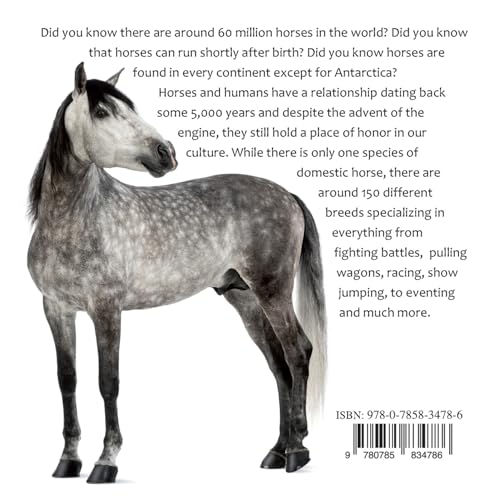 The Noble Horse: Facts and breed information on our equine friends
