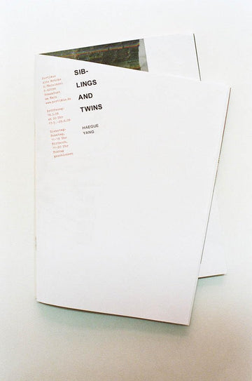 Haegue Yang: Siblings and Twins (Sternberg Press) (English and German Edition)