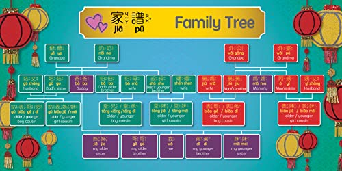 Celebrating Chinese New Year - Traditional: A Bilingual Book in English and Mandarin with Traditional Characters, Zhuyin, and Pinyin (Bitty Bao)