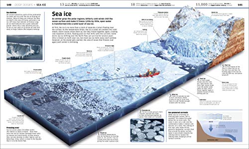 Knowledge Encyclopedia Ocean!: Our Watery World As You've Never Seen It Before (Knowledge Encyclopedias)