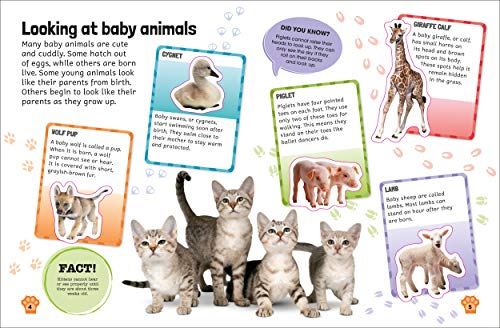 Sticker Encyclopedia Baby Animals: More Than 600 Stickers (Sticker Encyclopedias)