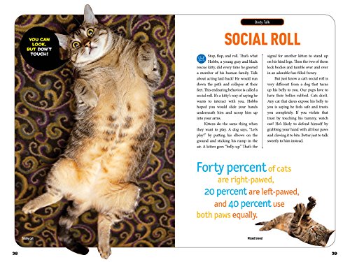 How to Speak Cat: A Guide to Decoding Cat Language (NGK How to Speak Animal)