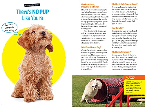 Fetch! A How to Speak Dog Training Guide (NGK How to Speak Animal)