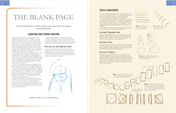 The Field Guide to Drawing and Sketching Animals