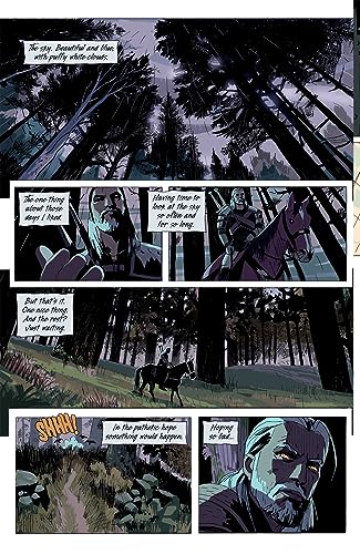 The Witcher Omnibus Volume 2