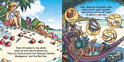 Good Night Seashells (Good Night Our World)