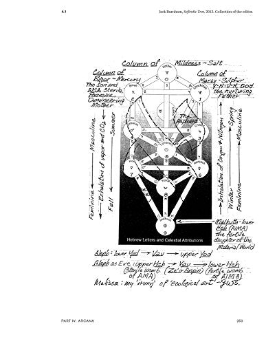 Dissolve into Comprehension: Writings and Interviews, 1964-2004 (Writing Art)