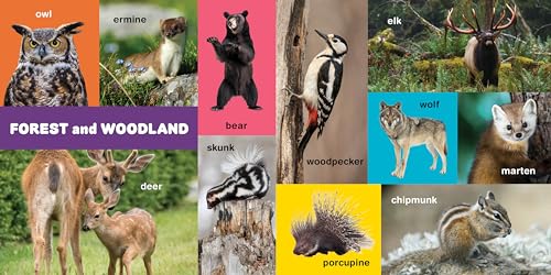 My First 100 Pacific Northwest Animals