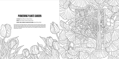 Gardens: A Smithsonian Coloring Book