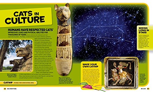 National Geographic Kids Everything Big Cats: Pictures to Purr About and Info to Make You Roar!