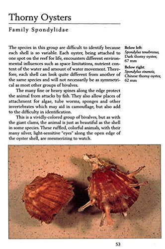 Handy Pocket Guide to Tropical Seashells (Handy Pocket Guides)
