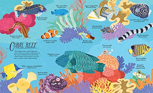 Ocean Emporium: A Compilation of Creatures