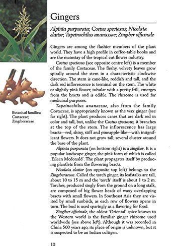 Handy Pocket Guide to Tropical Plants (Handy Pocket Guides)