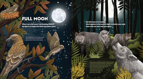 Wild Moon: How the Lunar Phases Light Up Our World