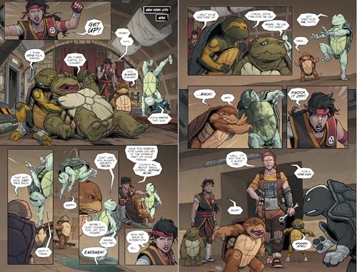 Teenage Mutant Ninja Turtles: The Last Ronin--Lost Years