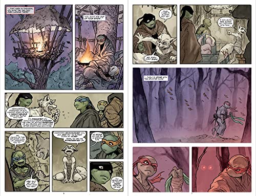 Teenage Mutant Ninja Turtles: Reborn, Vol. 6 - Game Changers (TMNT Reborn)