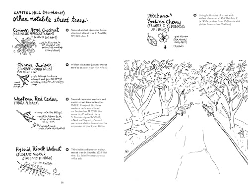 Street Trees of Seattle: An Illustrated Walking Guide