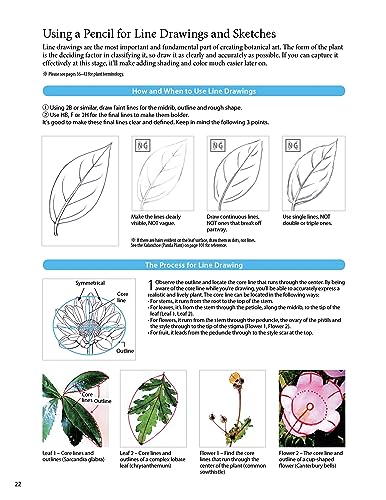 A Step-by-Step Guide to Botanical Drawing & Painting: Create Realistic Pencil and Watercolor Illustrations of Flowers, Fruits, Plants and More! (With Over 800 illustrations)