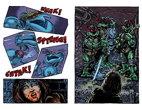 Best of Teenage Mutant Ninja Turtles Collection, Vol. 2