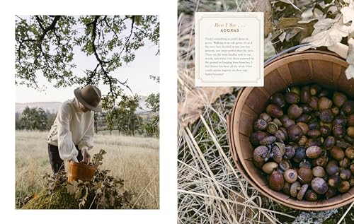 Wonder of the Woodlands: The Art of Seeing and Creating with Nature