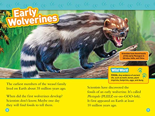 Wolverines (National Geographic Kids Readers, Level 3)