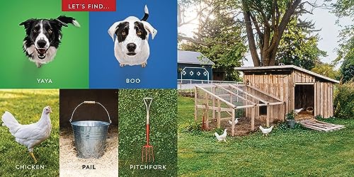 Let's Find Yaya and Boo at Home!: A Hide-and-Seek Adventure (Find Momo)