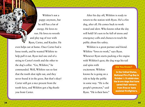National Geographic Kids Chapters: Hero Dogs! (NGK Chapters)
