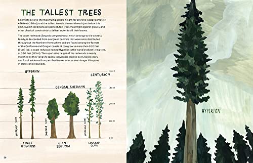 Trees: An Illustrated Celebration