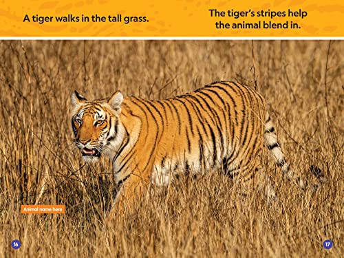 Stripes and Spots (National Geographic Kids Readers, Pre-Reader)