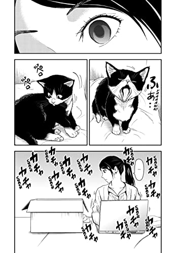 Cat + Gamer Volume 1 (Cat + Gamer, 1)