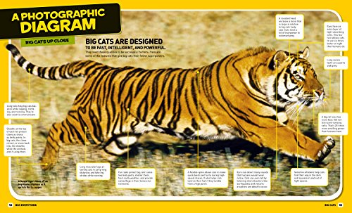 National Geographic Kids Everything Big Cats: Pictures to Purr About and Info to Make You Roar!
