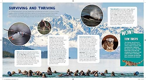 Good Housekeeping 1,001 Amazing Science Facts