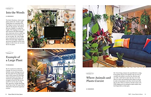 House Plants for Every Space: A Concise Guide to Selecting, Designing and Maintaining Plants in Any Indoor Space