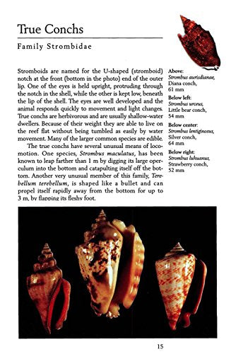 Handy Pocket Guide to Tropical Seashells (Handy Pocket Guides)