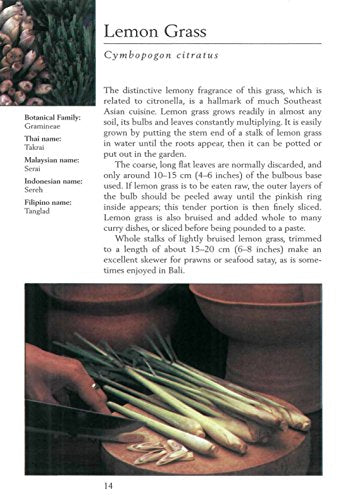 Handy Pocket Guide to Tropical Herbs & Spices: Clear Identification Photos and Explanatory Text for the 35 Most Common Herbs & Spices found in Thailand (Handy Pocket Guides)