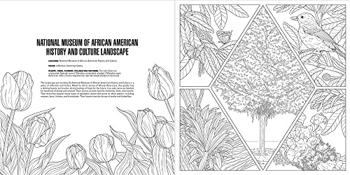 Gardens: A Smithsonian Coloring Book