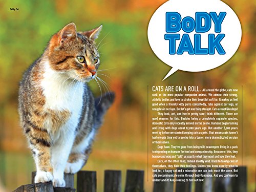 How to Speak Cat: A Guide to Decoding Cat Language (NGK How to Speak Animal)